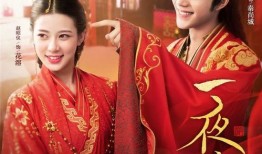 博主爆料一夜新娘视频,博主爆料背后的惊人真相